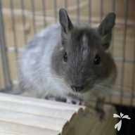 坪 宇宙 ちゃん