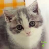 秋田 セナ ちゃん