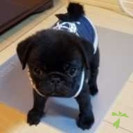 網田 てんし ちゃん