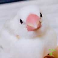 齊藤 ふく ちゃん