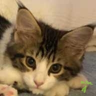 丸山 さち ちゃん