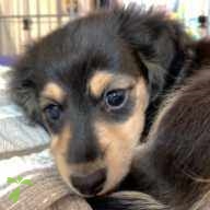 浅野 Jackie ちゃん