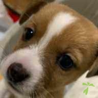 牧石 あめ ちゃん