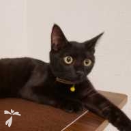 五十嵐 ミト ちゃん