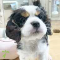 川邊 じゅり ちゃん