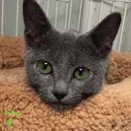 水野 ぐく ちゃん