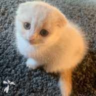 湯浅 天 ちゃん