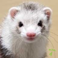 澁谷 咲良 ちゃん