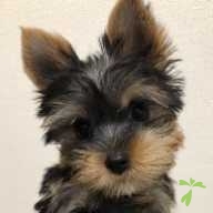 竹株 キール ちゃん