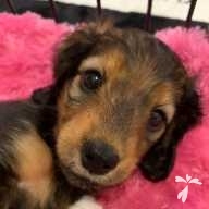 浅野 心鈴 ちゃん