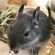 計良 アオイ ちゃん