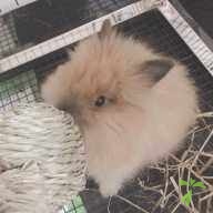 坂内 べる ちゃん