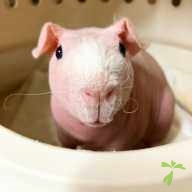 飯塚 バム ちゃん