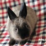 松井 おちょこ ちゃん