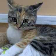 加瀬 メル ちゃん