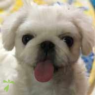 加藤 陸 ちゃん