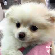 上野山 ねむ ちゃん