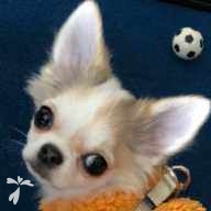 松浦 エイト ちゃん