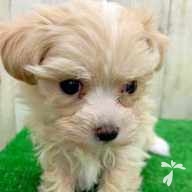 鈴木 もな ちゃん