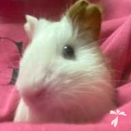 森川 ばぶ ちゃん