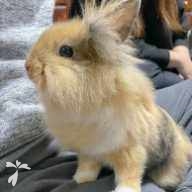 西尾 楽太郎 ちゃん