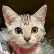 川上 ユキ ちゃん