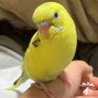 川口 ルル ちゃん