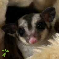 瀧澤 ハイヒール・たにし ちゃん