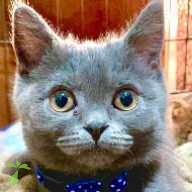 岩村 エト ちゃん