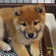 水田 ナミ ちゃん