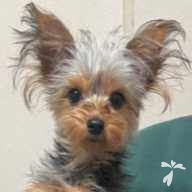 浅井 サラ ちゃん