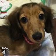 宮内 みゆ ちゃん