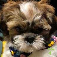 梅田 ゆずな ちゃん