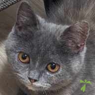 尾谷 ウニ ちゃん