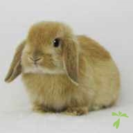 相馬 ユキ ちゃん