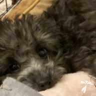 上川 くぅ ちゃん