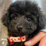 中山 まる ちゃん