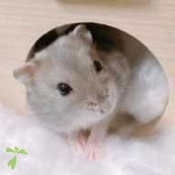 吉田 うい ちゃん