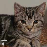 斎藤 拓海 ちゃん