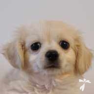 藤本 レオ ちゃん