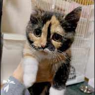 長野 もみじ ちゃん