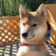 山本 空 ちゃん