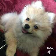 山本 ゆなん ちゃん