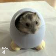 相原 てるてる ちゃん