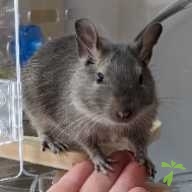 縣 空千 ちゃん