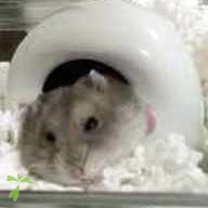 寺井 ププ ちゃん