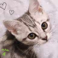 伊藤 Chloe ちゃん