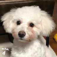 野口 大福 ちゃん