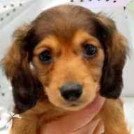 小宮山 むぎ ちゃん