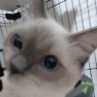 佐藤 継 ちゃん